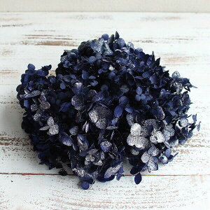 yP10{ z vU[uht[ ԍ o \tgAix XvbVGWvVA AWTC  z Ԃт vU[uht[ XbO u[P ԑ 