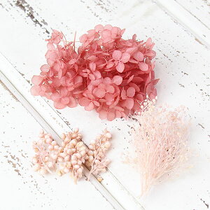 vU[uht[ ԍ o FMt[A\[g sN   AWTC JX~ vU[uht[ XbO u[P hCt[ ԑ [X  