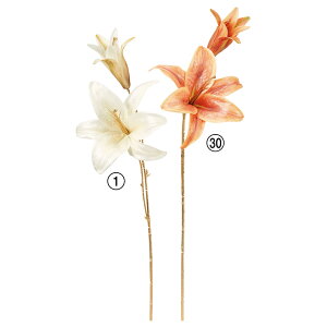 yP10{ z   Ƃ悹i VCj[B×2 JTuJ [ B[ LL   AW ԍ  VNt[ a AXJ ASCA AXJ