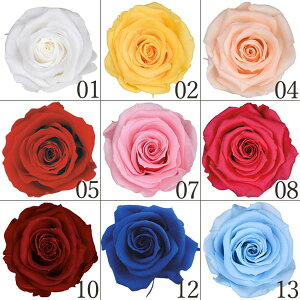 vU[uht[ ԍ Ƃ悹i X^_[h[Y(16֓) hCt[ ԍ f p[c ޗ [Y n[oE vU[uh[Y uU[uh o