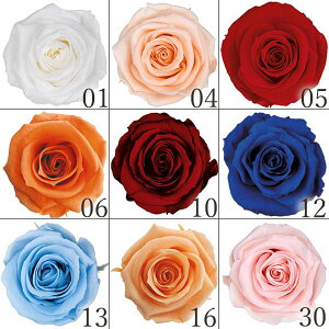 vU[uht[ ԍ Ƃ悹i fBAi[Y(18֓) hCt[ ԍ f p[c ޗ [Y n[oE vU[uh[Y uU[uh o