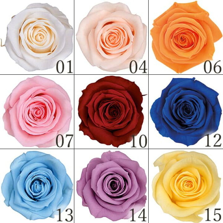 コットンフラワー スプレー薔薇 花びらヘッド ドライフラワー 花材 