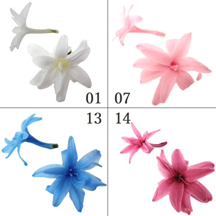楽天市場 プリザーブドフラワー 花材 とりよせ品 Florever チューベローズ 1箱8輪入り ハーバリウム プリザーブドローズ プリ プリザーブド ブリザーブド Preserving ナチュラル スワッグ 花 造花ドライフラワー専門問屋花びし