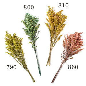 vU[uht[ ԍ Ƃ悹i \_SubT hCt[ ԍ f p[c ޗ n[oE vU[uh[Y uU[uh Preserving i`