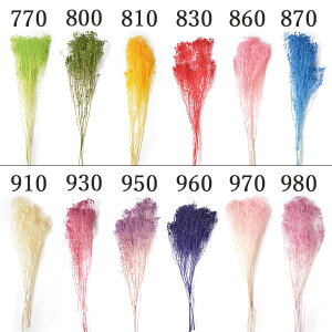 vU[uht[ ԍ Ƃ悹i u[ hCt[ ԍ f p[c ޗ n[oE vU[uh[Y uU[uh Preserving i` XbO 