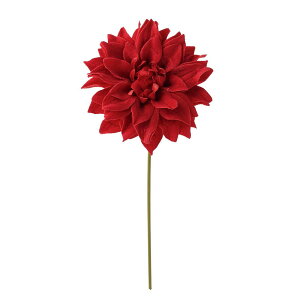 yP10{ z  Ƃ悹i xxbg_AsbN bh VO Ă񂶂ڂ eWN{^ CeA CeAt[ tFCNt[ VNt[ ԍ f p