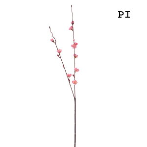 yP10{ 12/31܂ŁIz  Ƃ悹i Ex2 a ~ Japanese A[eBtBVt[ apricot v CeA CeAt[ tFCNt[ VNt[ ԍ Ԏ roH|