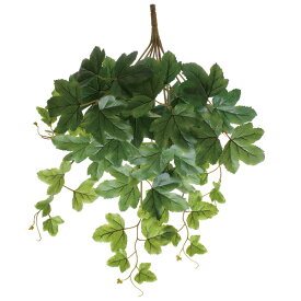 楽天市場 グレープアイビーの通販 楽天市場 グレープアイビーの通販