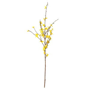 yP10{ 12/31܂ŁIz  Ƃ悹i ME×45 CeA CeAt[ tFCNt[ VNt[ CeAO[ tFCNO[ ԍ f AXJ ASCA AXJ