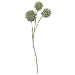 yP10{ 12/31܂ŁIz  Ƃ悹i A[eB`[N A[eBtBVt[  CeA CeAt[ tFCNt[ VNt[ O[ DIY AXJ ASCA AXJ