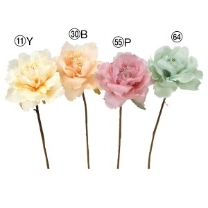  Ƃ悹i sIj[sbN {^ O VNN 䉖 CeA CeAt[ tFCNt[ VNt[ CeAO[ AXJ ASCA AXJ