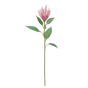 yP10{ z  Ƃ悹i A}TX A[eBtBVt[  CeA CeAt[ tFCNt[ VNt[ tFCNO[ AXJ ASCA AXJ