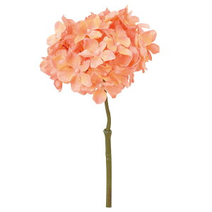  Ƃ悹i nChWA z AWTC CeA CeAt[ tFCNt[ VNt[ CeAO[ ԍ Ԏ AXJ ASCA AXJ