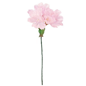 yP10{ z  Ƃ悹i sbN×6 ڂ×4  `F[ubT CeA CeAt[ tFCNt[ VNt[ A[gt[ AXJ ASCA AXJ