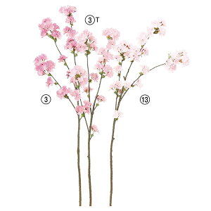 yP10{ }\z  Ƃ悹i u`×93 ڂ×62  `F[ubT CeA CeAt[ tFCNt[ VNt[ ԍ Ԏ AXJ ASCA AX