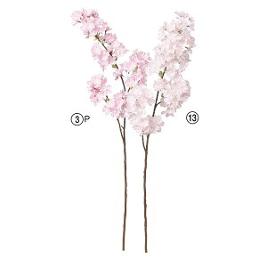 yP10{ z  Ƃ悹i X95  `F[ubT CeA CeAt[ tFCNt[ VNt[ CeAO[ A[gt[ AXJ ASCA AXJ