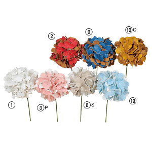  Ƃ悹i nChWAsbN z AWTC CeA CeAt[ tFCNt[ VNt[ CeAO[ ԍ AXJ ASCA AXJ