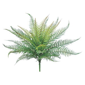 yP10{ 12/31܂ŁIz  O[ Ƃ悹i t@[ubV CeA tFCN O[ p[c CeAt[ tFCNt[ VNt[ ԍ f AXJ ASCA AXJ