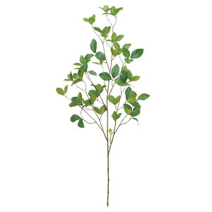  O[ Ƃ悹i hE_ CeA tFCN O[ p[c CeAt[ tFCNt[ VNt[ CeAO[ AXJ ASCA AXJ