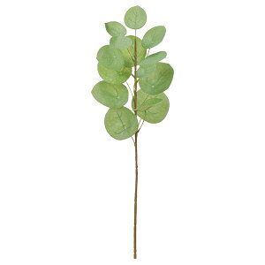  O[ Ƃ悹i yy~A CeA tFCN O[ p[c CeAt[ tFCNt[ VNt[ tFCNO[ AXJ ASCA AXJ