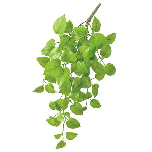 yP10{ z  O[ Ƃ悹i |gXnMOubV CeA tFCN O[ p[c CeAt[ tFCNt[ VNt[ t AXJ ASCA AXJ