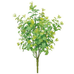 yP10{ 12/31܂ŁIz  O[ Ƃ悹i {bNXEbh&x[ubV CeA tFCN O[ p[c CeAt[ tFCNt[ ԍ Ԏ AXJ ASCA AXJ