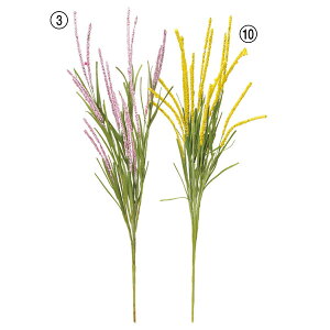 yP10{ 12/31܂ŁIz  O[  Ƃ悹i x[ubV CeA tFCN O[ p[c AWg CeAt[ tFCNt[ ԍ f AXJ ASCA AXJ