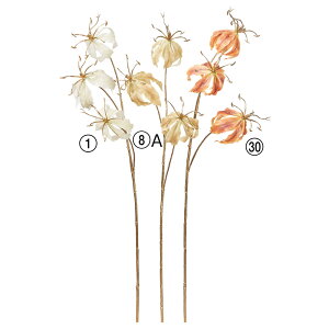 yP10{ z   Ƃ悹i VCj[OIT×3 c O} Lcl LL   AW ԍ  tFCN a AXJ ASCA AXJ