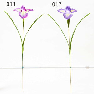  Ƃ悹i A ACX  ԏҊ  p[v x_[ A[eBtBVt[  CeA CeAt[ tFCNt[ O[ ԍ
