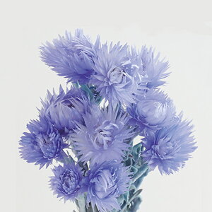 hCt[ ԍ o Vo[f[W[~j p[v hCt[ XbO u[P hCt[ԑ hCt[XbO [X AW ԍ f 