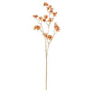 yP10{ }\z   Ƃ悹i VCj[ubTXv[×28   AW ԍ  VNt[ C~e[V tFCN a AXJ ASCA A