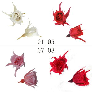 vU[uht[ ԍ Ƃ悹i }CN[Y(120֓) hCt[ ԍ f p[c ޗ [Y n[oE vU[uh[Y uU[uh o 