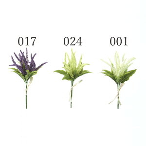 ベロニカ 花の通販 価格比較 価格 Com