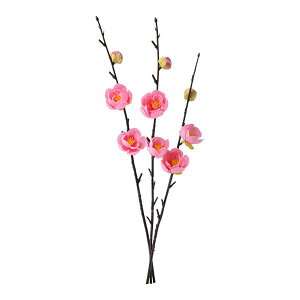  Ƃ悹i ~oh sN(3{) a ~ Japanese A[eBtBVt[ apricot v CeA CeAt[ tFCNt[ ԍ Ԏ p