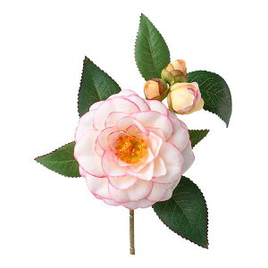  Ƃ悹i  sNzCg a coL JA CeA CeAt[ tFCNt[ VNt[ CeAO[ tFCNO[ ԍ p