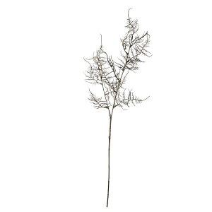 yP10{ z NX}X  O[ Ƃ悹i AXpKXXv[ uE [t z[[ t  I[ig NX}X NX}X[X CeA G p[c p