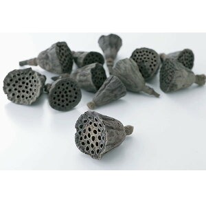 yP10{ z hCt[ ԍ o ~jnXE i` hCt[ ؂̎ XbO [X AW ԍ f ޗ p[c AWg i`  n_