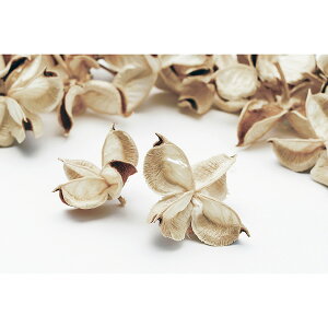 yP10{ z hCt[ ԍ o ^J i`zCg hCt[ ؂̎ XbO [X AW ԍ f ޗ p[c AWg i` n_