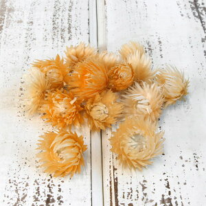 hCt[ ԍ o Vo[fCW[wbh IW(Cg) Vo[f[W[ ԍ f ޗ p[c hCt[ XbO u[P ԑ [X  f