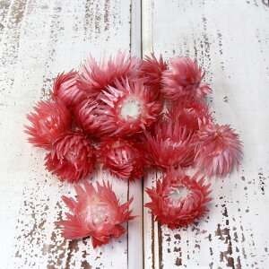 hCt[ ԍ o Vo[fCW[wbh T[ Vo[f[W[ ԍ f ޗ p[c hCt[ XbO u[P hCt[ԑ DIY f