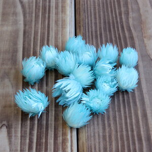 yP10{ 12/31܂ŁIz hCt[ ԍ o Vo[fCW[wbh Cgu[ Z Vo[f[W[ ԍ f ޗ p[c hCt[ XbO u[P ԑ [X DIY 