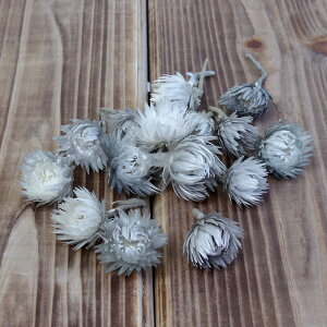 hCt[ ԍ o Vo[fCW[wbh p[OC Vo[f[W[ ԍ f ޗ p[c hCt[ XbO u[P hCt[ԑ f