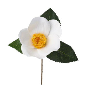   Ƃ悹i փsbN zCg a coL JA CeA CeAt[ tFCNt[ VNt[ CeAO[ tFCNO[ p