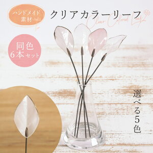 yP10{ 12/31܂ŁIz  O[ o NA[tsbN(16{)  ޗ   l wbhp[c t [t ANZg CeA ԍ AXJ ASCA AXJ