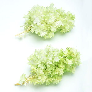 yP10{ z vU[uht[ ԍ o JVoAWTC(Of[VH) zCgO[ AWTC  z Ԃт vU[uht[ XbO  n_