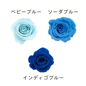 yP10{ z vU[uht[ ԍ o [YE݁EJ[A\[g u[~bNX vU[uht[ XbO u[P hCt[ ԑ [X AW n_