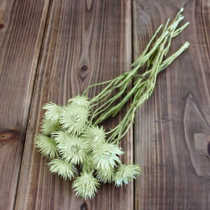 hCt[ ԍ o Vo[fCW[ XvOO[ Vo[f[W[ ԍ f ޗ p[c hCt[ XbO u[P hCt[ԑ f