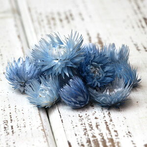 hCt[ ԍ o Vo[fCW[wbh _[Nu[ Vo[f[W[ ԍ f ޗ p[c hCt[ XbO u[P hCt[ԑ f