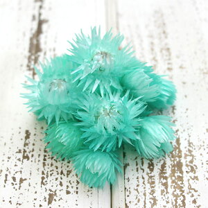 hCt[ ԍ o Vo[fCW[wbh FCg Vo[f[W[ ԍ f ޗ p[c hCt[ XbO u[P ԑ [X  f