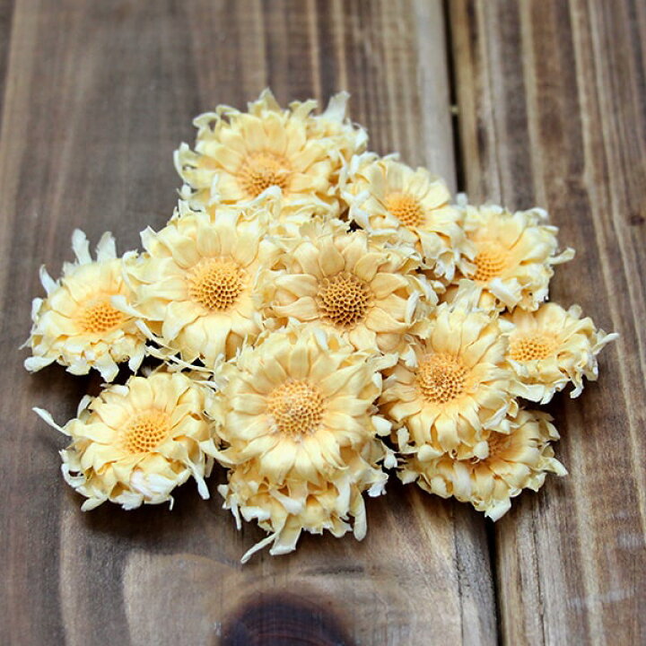 楽天市場 ドライフラワー 花材 即日出荷 東方貿易 ミニコンパクタ ヘッド ホワイト ドライフラワー スワッグ ブーケ ドライフラワー花束 花束 ドライフラワースワッグ リース アレンジ 花材 素材 材料 花 パーツ アレンジメント ナチュラル 装飾 造花ドライ